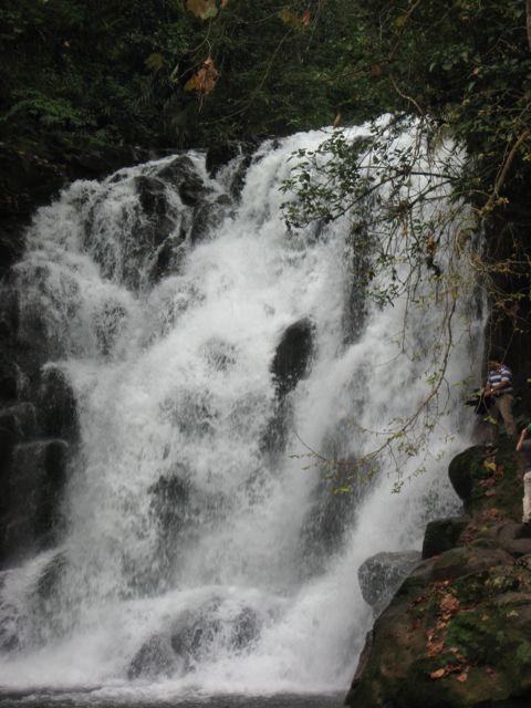 cascade