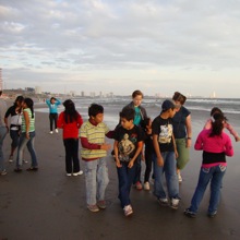 Monkey_13