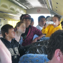 bus