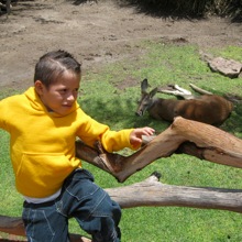 Antonio