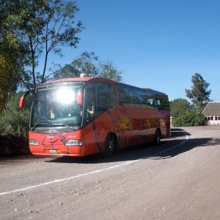 Bus