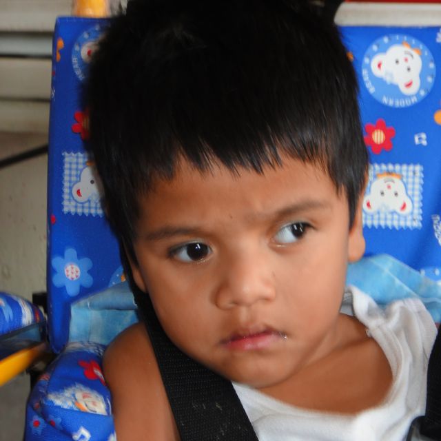 Angel David