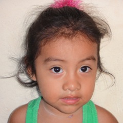 Nely