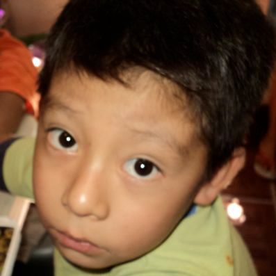 Alexander(3)