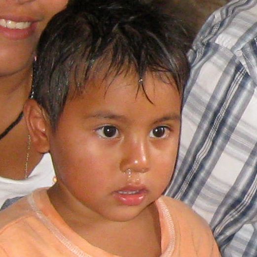 Luis T