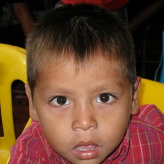 Andres