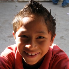 Harvi