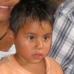 Luis T