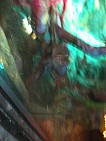 img_2861.jpg