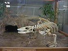 img_2863.jpg