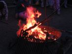 IMG_7399