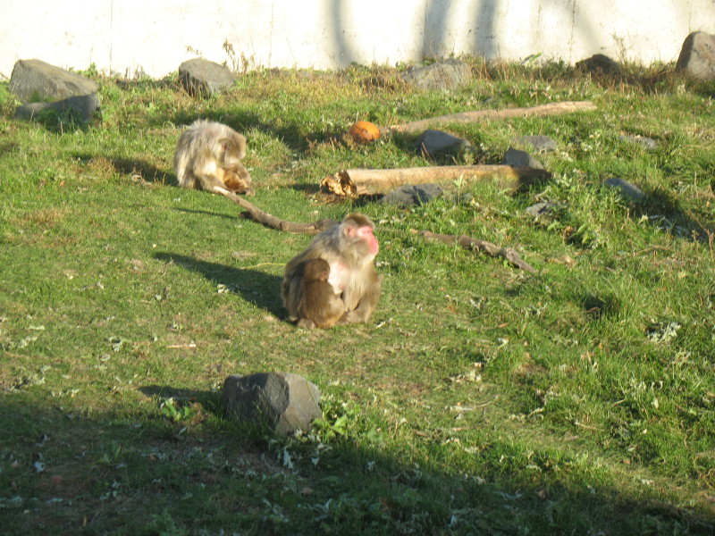 img_0499.jpg