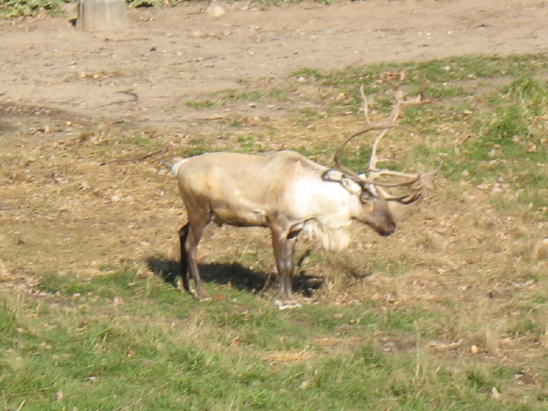 img_0522.jpg