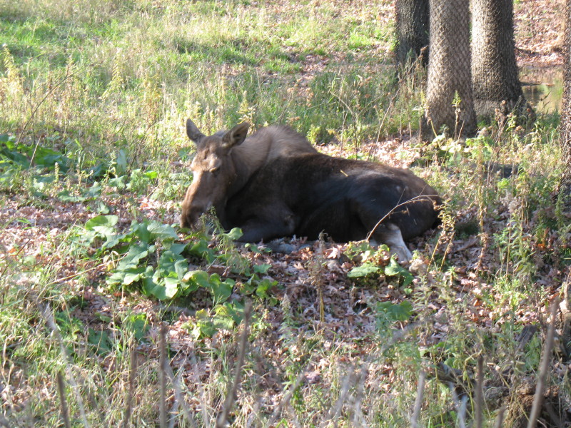 img_0523.jpg