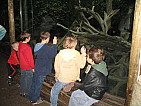 img_0482.jpg