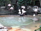 img_0487.jpg