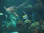 img_0495.jpg