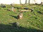 img_0499.jpg