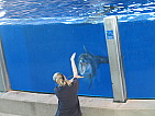 img_0504.jpg