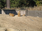 img_0511.jpg