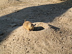 img_0512.jpg