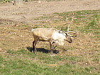 img_0522.jpg