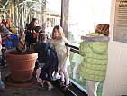 img_0536.jpg