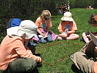 img_3566.jpg
