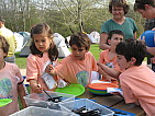 img_3688.jpg
