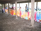 img_3774.jpg