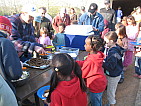 img_3781.jpg