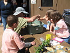 img_3905.jpg