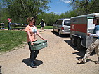img_3956.jpg