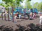 img_3965.jpg