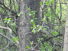img_0138.jpg