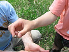 img_0155.jpg