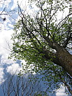 img_0156.jpg
