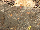 img_0162.jpg
