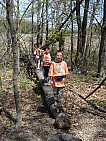 dsc01241.jpg